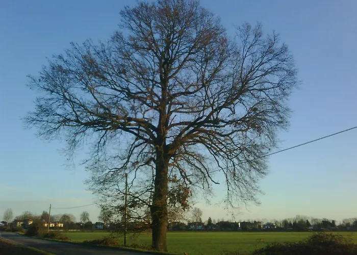 Agriturismo Casella Ferrara