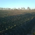 Ξενοδοχείο Agriturismo Casella *