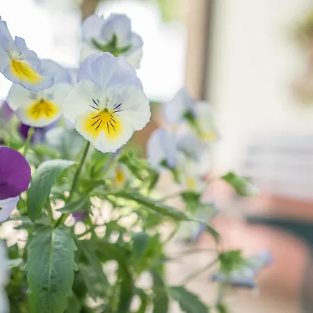 Agriturismo Casella Ferrara