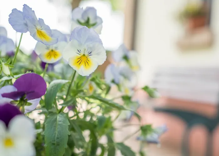 Agriturismo Casella Ferrara